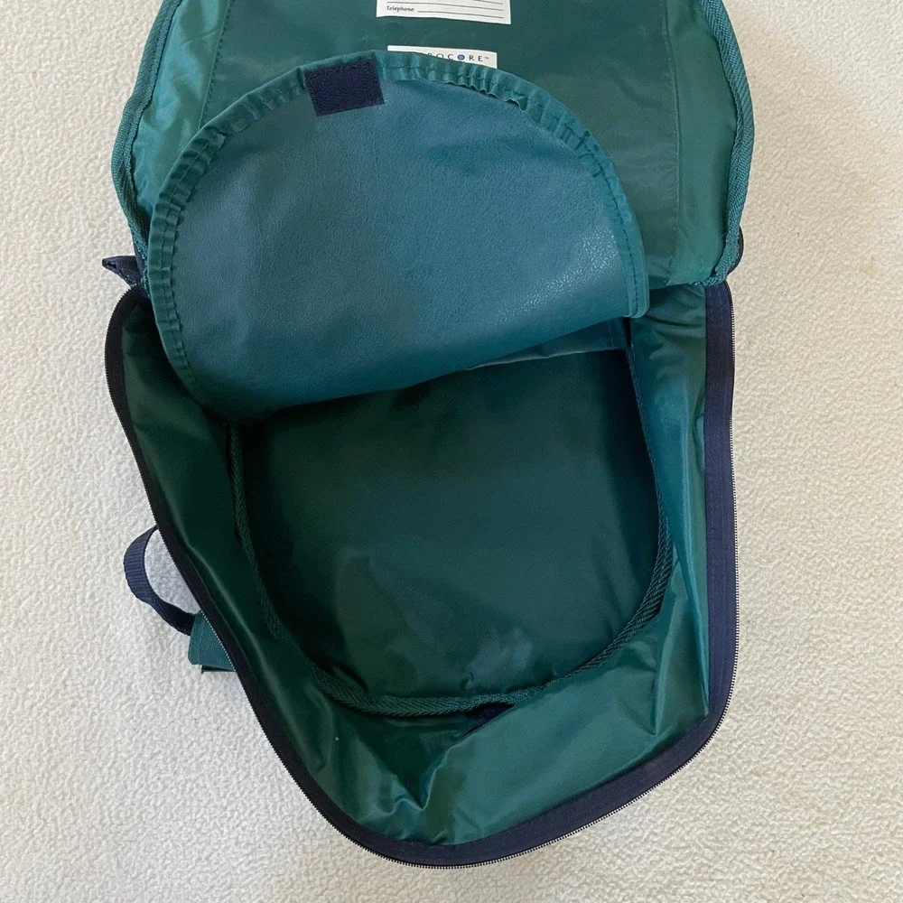 12x12x4 Pyrex Portable Way To‎ Go Insulated Hot Cold Carrier Handles Bag Only